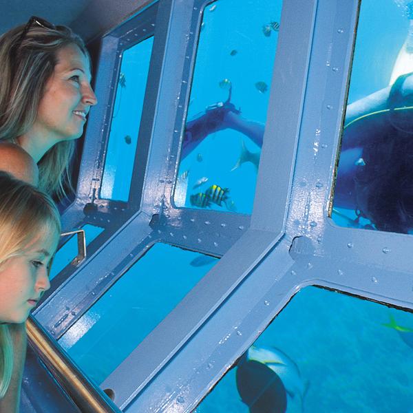 Full-Day Outer Barrier Reef Snorkelling Tour with All Equipment & Tropical Lunch 5