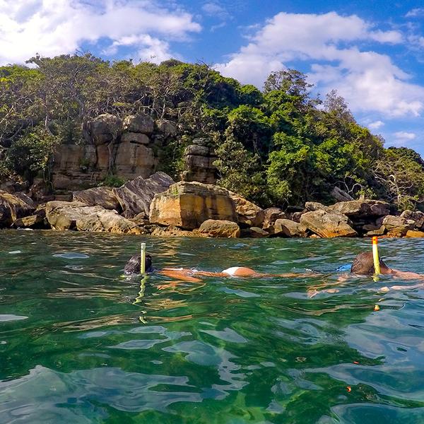 2.5-Hour Manly Snorkel & Headland Walk Eco Tour 2