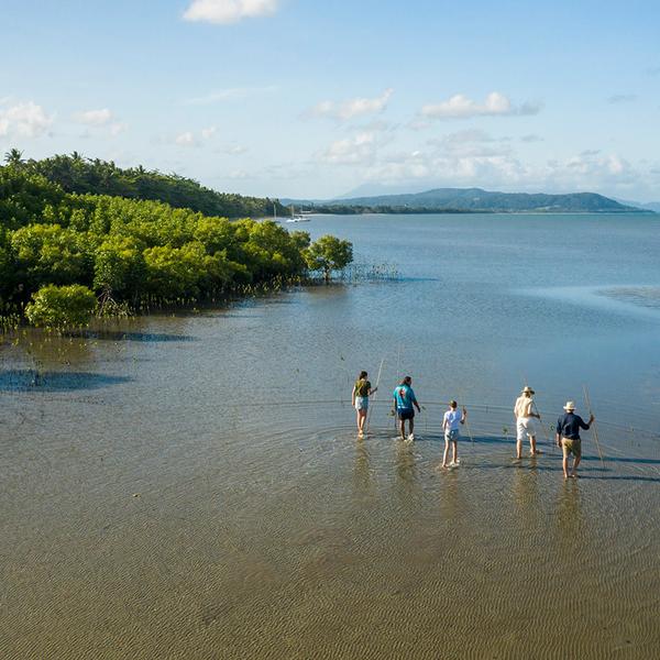 Cairns: Full-Day Daintree Dreaming Tour with Traditional Aboriginal Fishing Experience & Guided Walk  5