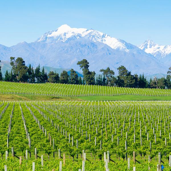 New Zealand 10-Day North to South Highlights with Waitomo Glowworm Caves & Marlborough Wine Tasting by  1