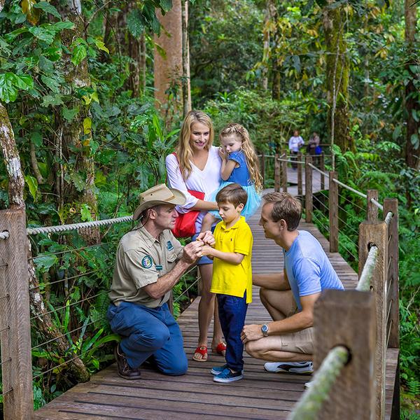 Journey through Heritage-Protected Rainforest with a One-Way Skyrail Ride & Scenic Rail Boarding Pass 4