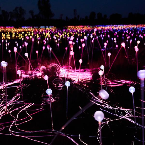 Half-Day Uluru Sunrise & Field of Light Tour with Hot Drink 2