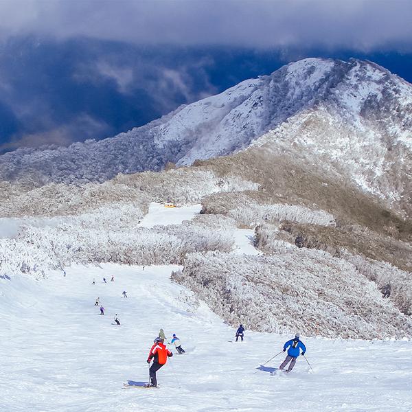 Full-Day Tour to Mount Buller Snow Slopes with Discounted Hire 1