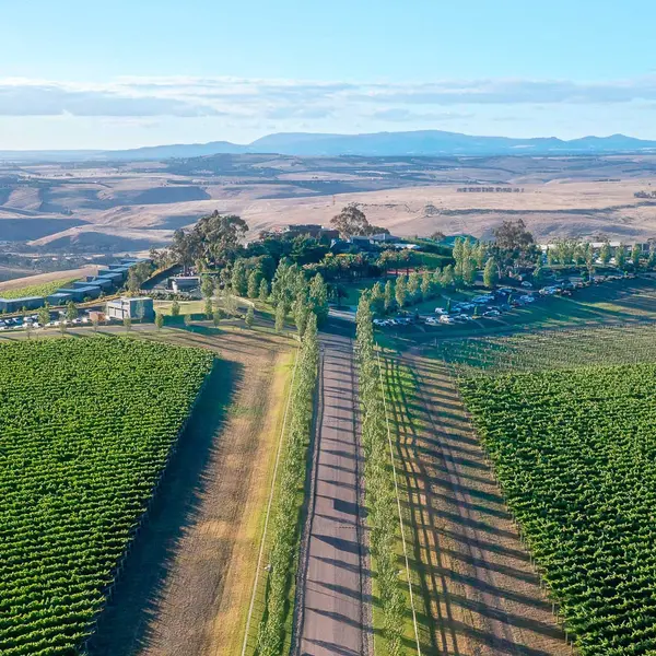Marnong Estate, Mickleham, Victoria 1
