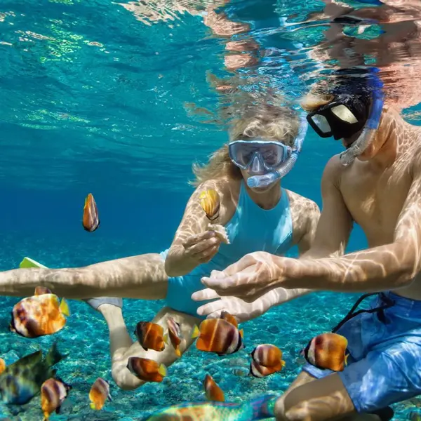 Full-Day Snorkelling Experience in Nusa Penida's Pristine Bays with Lunch & Transfers 1