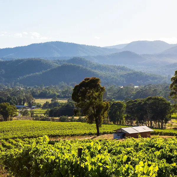 Dal Zotto Homestead and Petite Retreats, Whitfield, Victoria 1