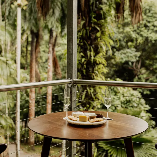 mist at Cape Tribulation, Daintree Rainforest, Queensland 7