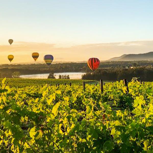 Breathtaking Sunrise Hot Air Balloon Flight with Gourmet Breakfast & Sparkling Wine Tasting 2