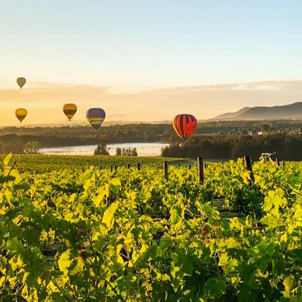 Hunter Valley: Breathtaking Sunrise Hot Air Balloon Flight with Gourmet Breakfast & Sparkling Wine Tasting 3