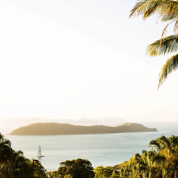 Palm Bungalows, Hamilton Island, Queensland 6