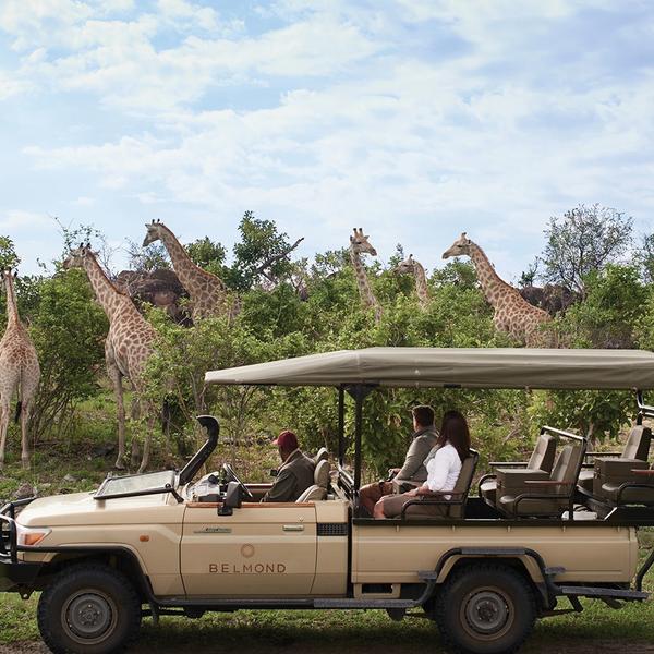 Ultra Lux 7-Day Botswana Private Fly-In Safari with Savute Elephant Lodge, A Belmond Safari by  4