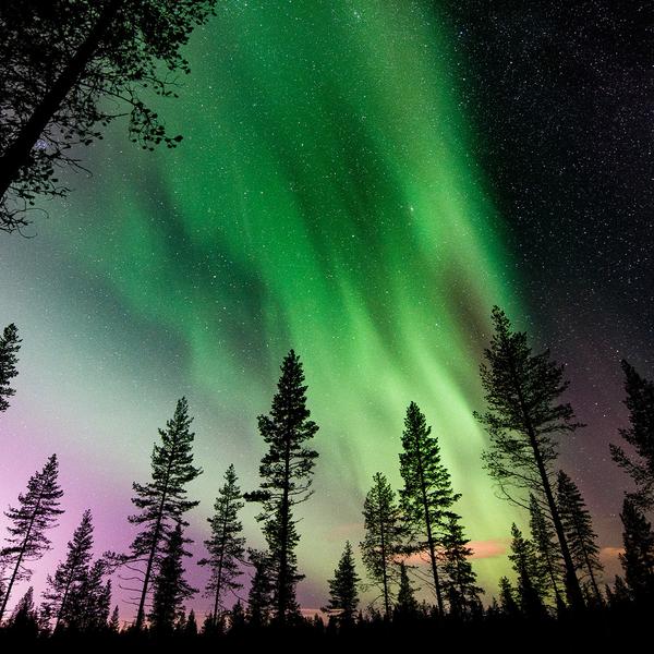 Deluxe 16-Day Finland & Norway Northern Lights Winter Adventure with Coastal Fjord Cruise by  8