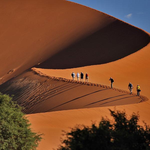 Namibia Small-Group Safari with Luxury Lodges, Etosha Heights Private Reserve, Wildlife Drives & Sossusvlei Dune Stay by Luxury Escapes Tours 5