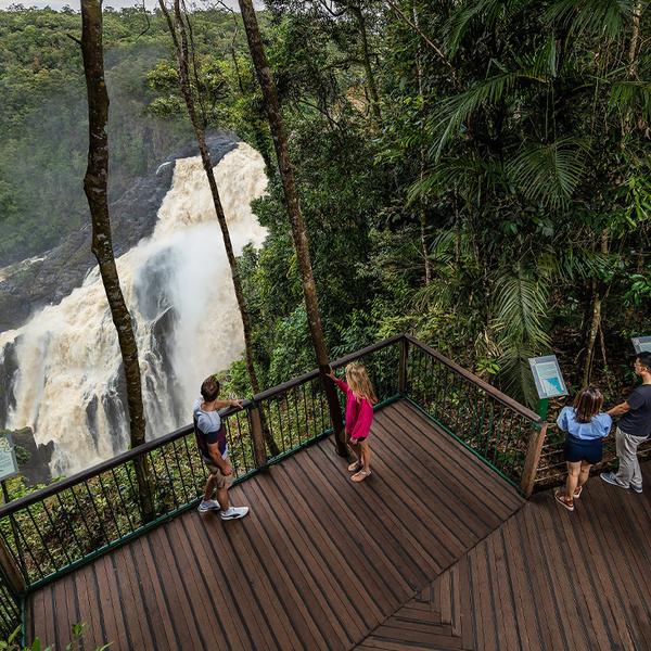 Cairns: Kuranda Skyrail & Gold Class Scenic Rail Pass with Drinks & Roundtrip Hotel Transfers  2