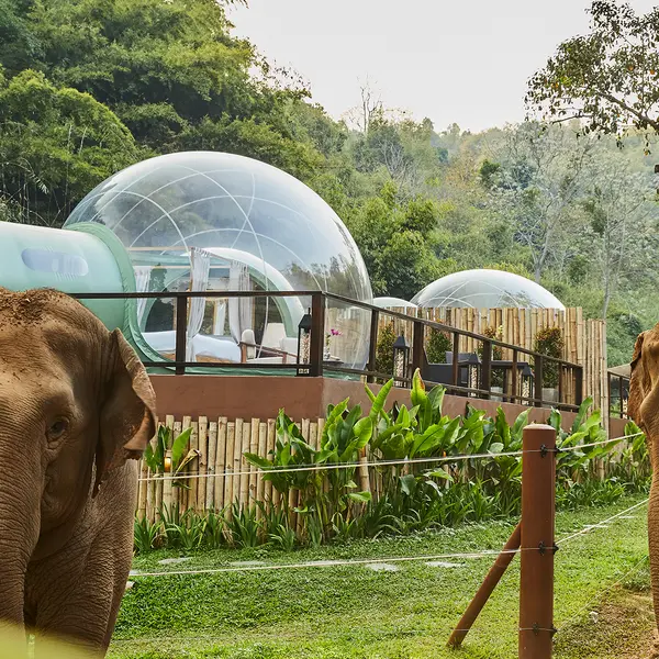 Anantara Golden Triangle Elephant Camp & Resort, Chiang Rai, Thailand 2