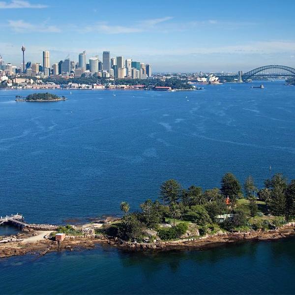 Sydney: Morning or Afternoon 1.5-Hour Sydney Harbour Sightseeing Cruise 3