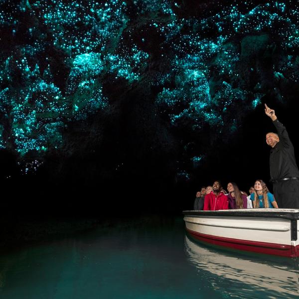 New Zealand 10-Day North to South Highlights with Waitomo Glowworm Caves & Marlborough Wine Tasting by  4