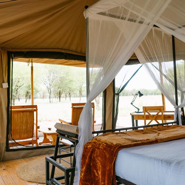 Limited Time Offer: 13-Day Kenya & Tanzania Great Migration Safari with Serengeti National Park + BONUS A$500 Flight Credit by  5