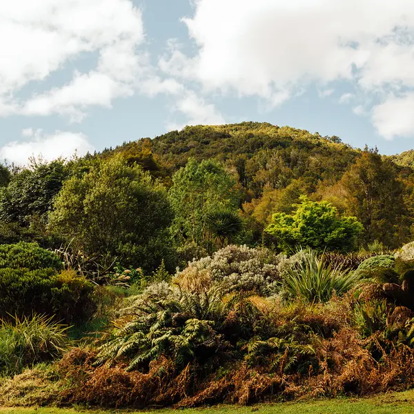 Maruia River Retreat, Nelson, New Zealand 8