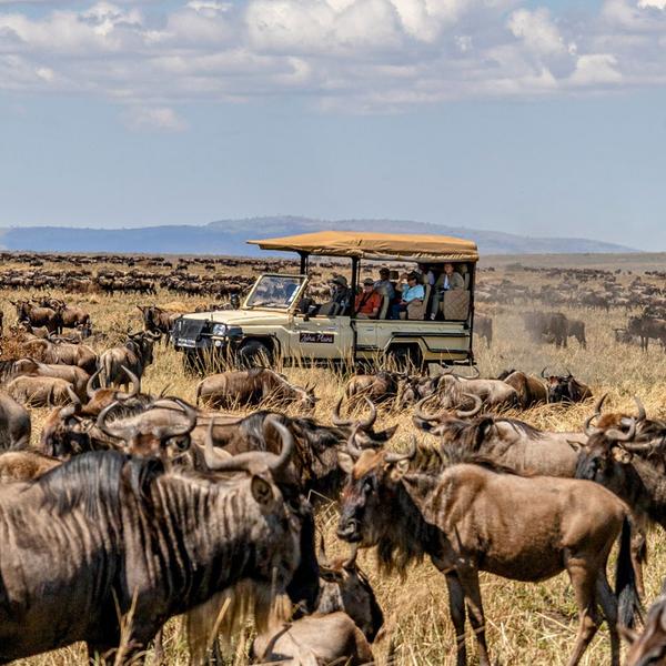Deluxe 13-Day Kenya & Tanzania Great Migration Safari 2026 with Maasai Mara & Serengeti National Parks by  1