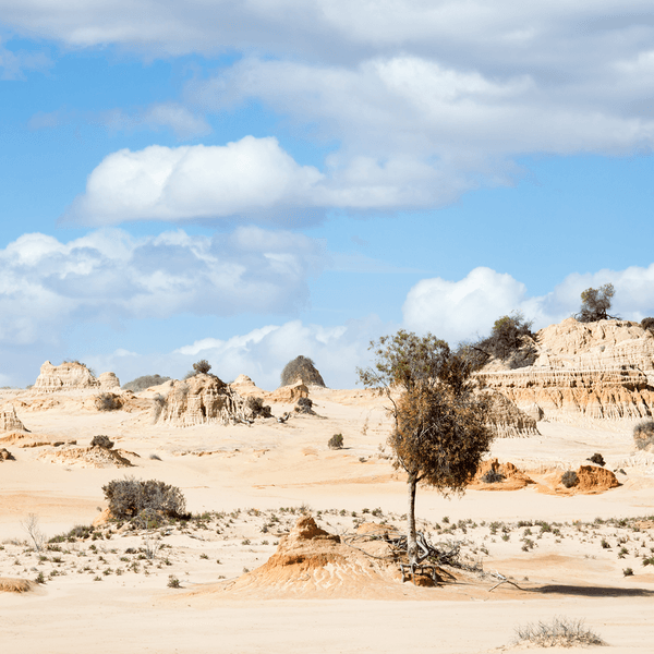 Australian Outback Highlights with Scenic Lake Mungo Flight & Griffith Wine Tasting by Luxury Escapes Trusted Partner Tours 8