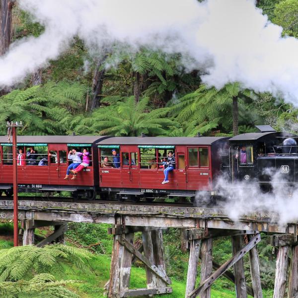 Full-Day Puffing Billy & Healesville Sanctuary Scenic Tour 2