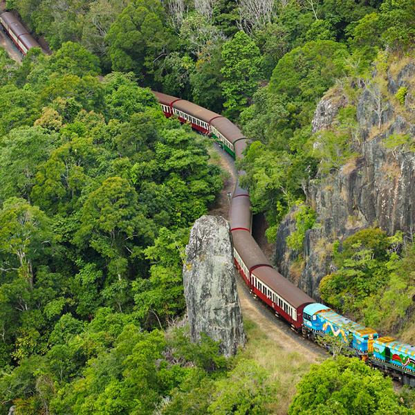 Journey through Heritage-Protected Rainforest with a One-Way Skyrail Ride & Scenic Rail Boarding Pass 1