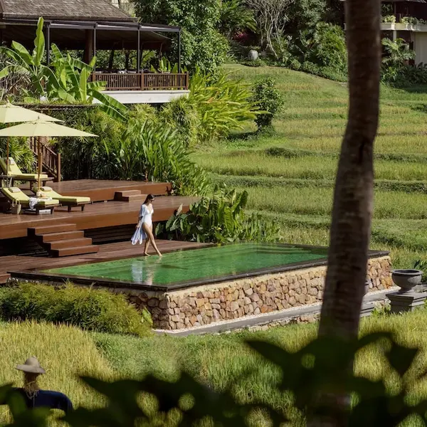 Four Seasons Resort Chiang Mai, Mae Rim, Thailand 6