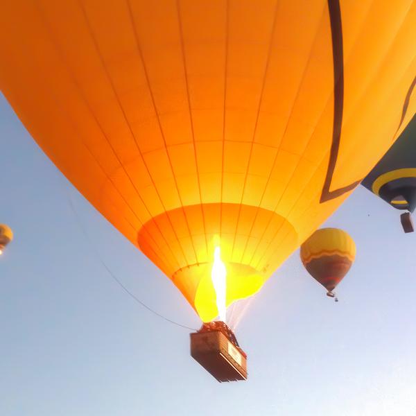 Six-Hour Gold Coast Ballooning Adventure with Glass of Sparkling Wine & Return Transfers 7