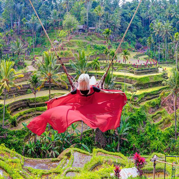 Bali: Full-Day Tegalalang Adventure with Coffee Tour, Ziplining, Jungle Swing & Lunch 1