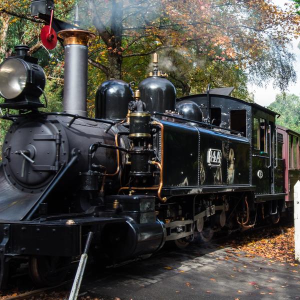 Full-Day Puffing Billy & Healesville Sanctuary Scenic Tour 1