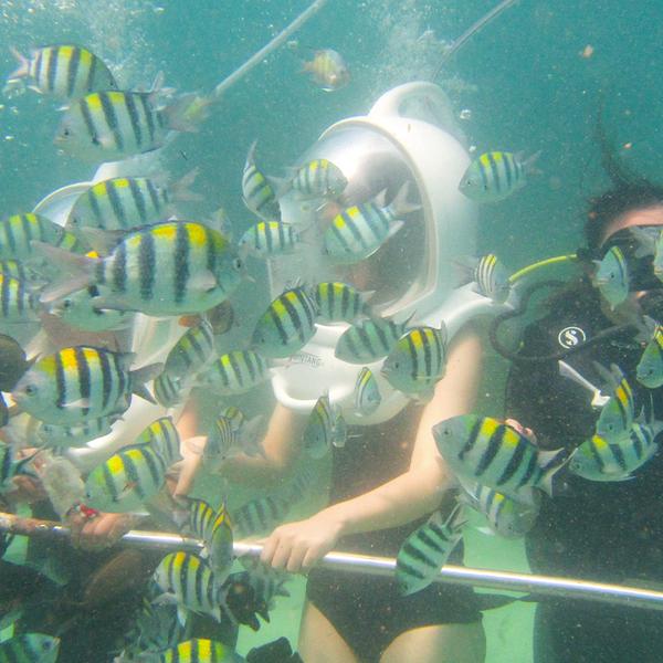 Half-Day Watersports Package with Fly Boarding, Sea Walker Experience, Doughnut Boat Ride & Private Hotel Transfers 4