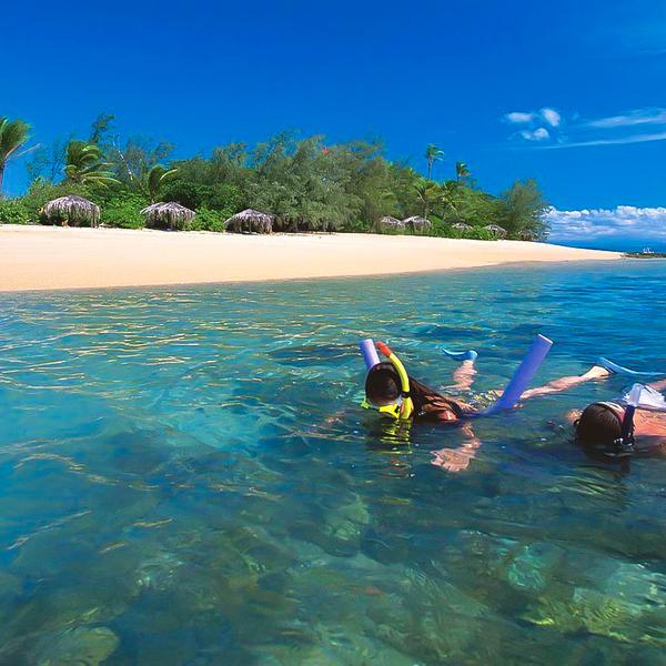 Port Douglas: Full-Day Great Barrier Reef Luxury Sailing Experience with Buffet Lunch, Activities & Transfers (SAAM) 5