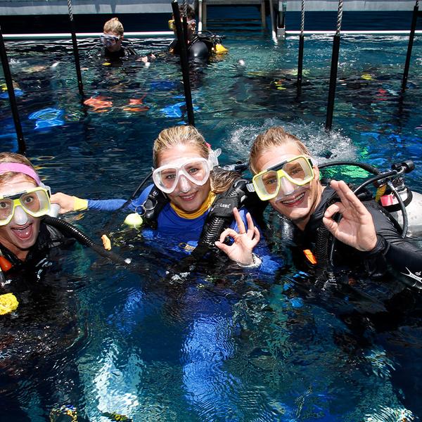 Full-Day Outer Barrier Reef Snorkelling Tour with All Equipment & Tropical Lunch 6