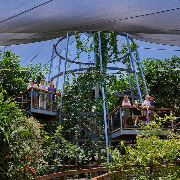 Admission to Award-Winning Australian Wildlife Habitat Sanctuary in Port Douglas 4