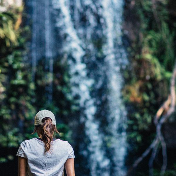 Full-Day Tastes of Tamborine Mountain Guided Tour with Lunch, Distillery Tour & Tasting 4