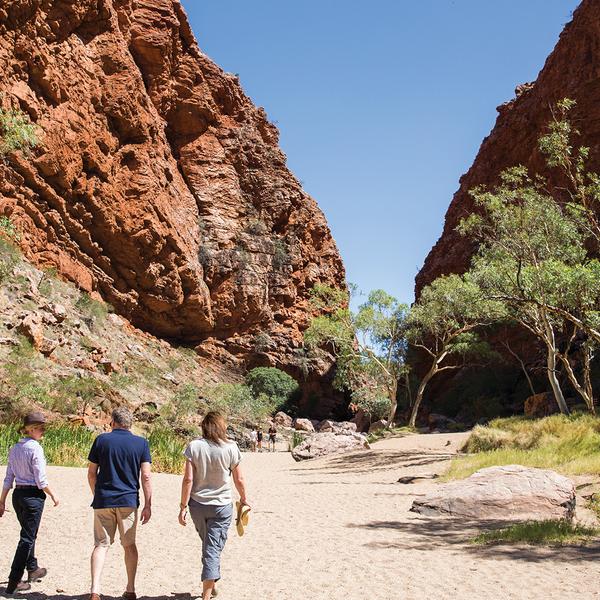 Extended by Popular Demand: The Ghan Expedition 4-Day Rail Journey from Darwin to Adelaide with BONUS Two-Night Darwin Stay & Sunset Cruise by  7