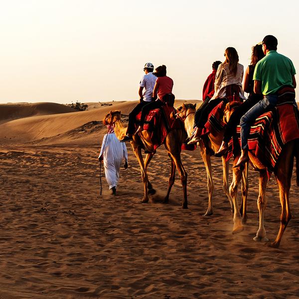 Dubai: Half-Day Sunset Desert Safari with BBQ Dinner, Camel Ride & Return Hotel Transfers 2