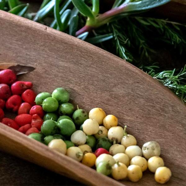 90-Minute Cape Byron Aboriginal Culture Guided Walking Tour with Bush Tucker Tasting 3