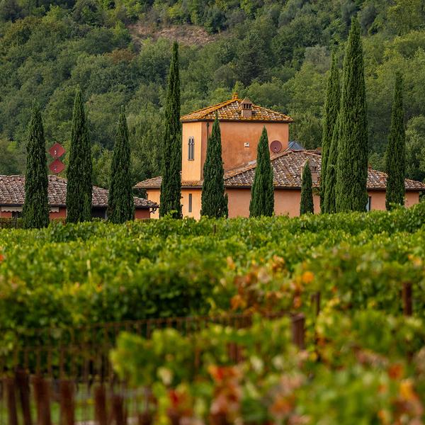 Signature Series: 11-Day Italy Exclusive Foodie Tour with Matt Preston & Gary Mehigan by  4