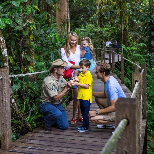 Cairns: Kuranda Skyrail & Gold Class Scenic Rail Pass with Drinks & Roundtrip Hotel Transfers  7