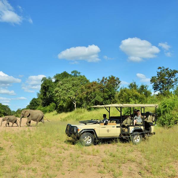 Deluxe 9-Day Best of South Africa, Zimbabwe and Botswana with All-Inclusive Kruger Safari by  2