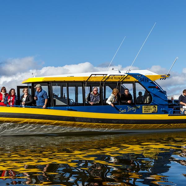 Tasmania: Full-Day Seafood Cruise with Freshly Caught Wild Abalone, Gourmet Lunch & Drinks 1