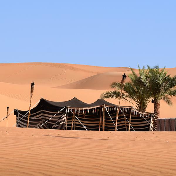 Dubai: Half-Day Sunset Desert Safari with BBQ Dinner, Camel Ride & Return Hotel Transfers 1