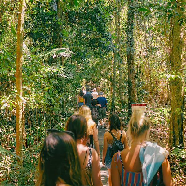 Cairns: Full-Day Waterfalls Tour with Lunch, Snacks & Return Transfers 7