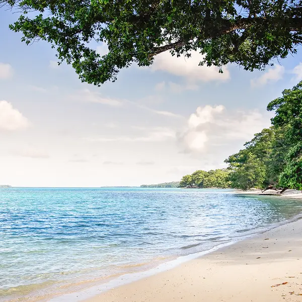 Barrier Beach Resort, Santo Espiritu, Vanuatu 7