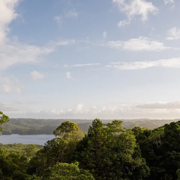 Misty View Cottages, Montville, Queensland 6