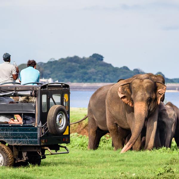 5 Very Different Ways to Tour Sri Lanka Luxury Escapes