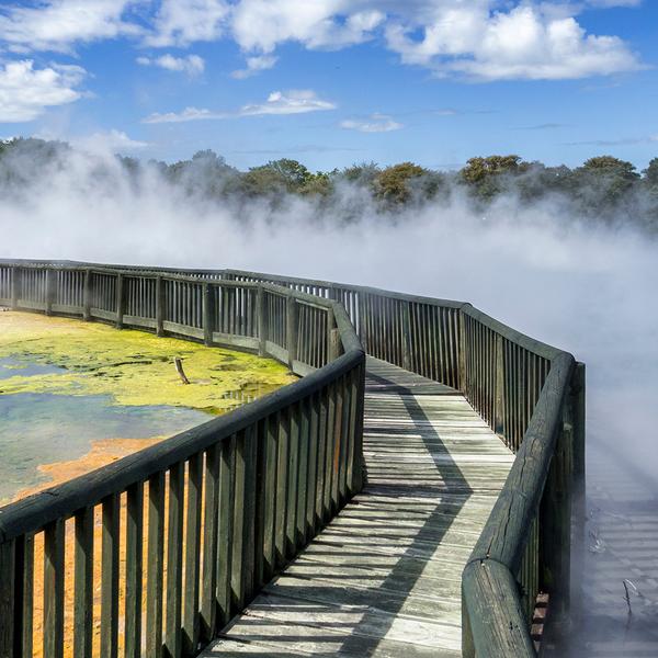 New Zealand 7-Day North Island Highlights with Waitomo Glowworm Caves & Hawke's Bay Wine Tasting by  6