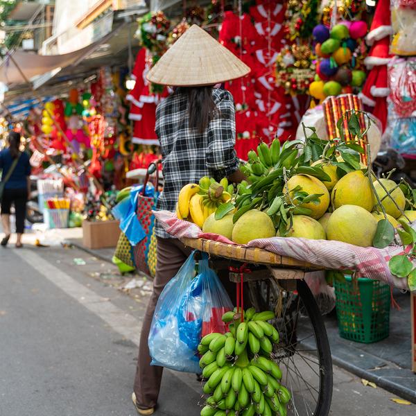 Extended by Popular Demand: Deluxe 10-Day Vietnam Highlights with Ha Long Bay + 9-Night Emerald Mekong River Cruise by  6